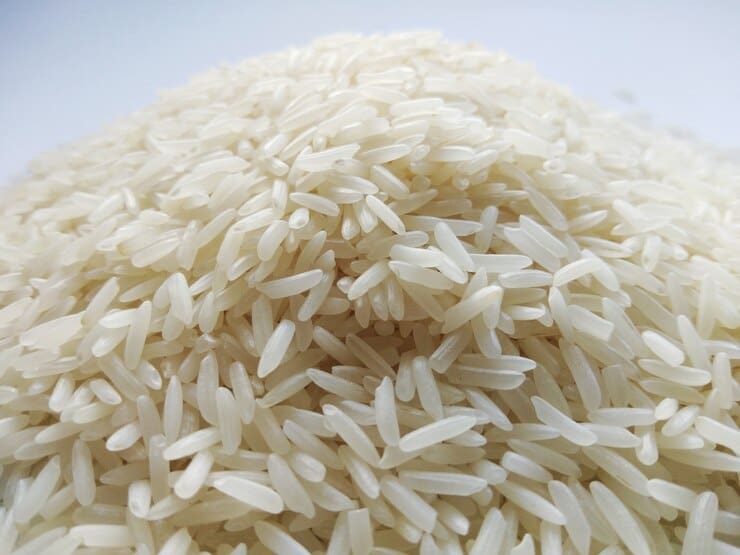 تصویر 4 از قیمت خرید صدری دم سیاه + فروش ویژه